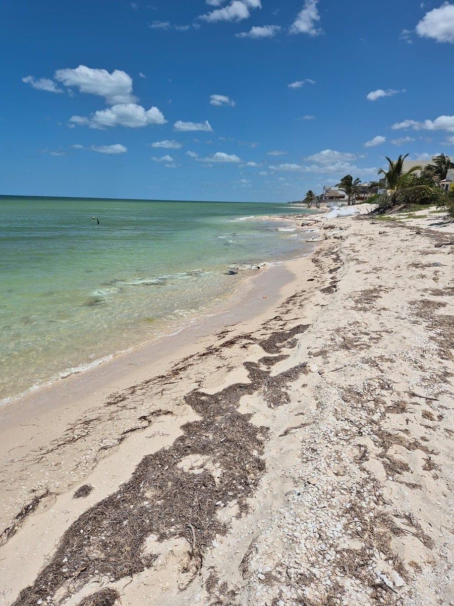 Praia San Benito progresso km 23, foto 1 de 1