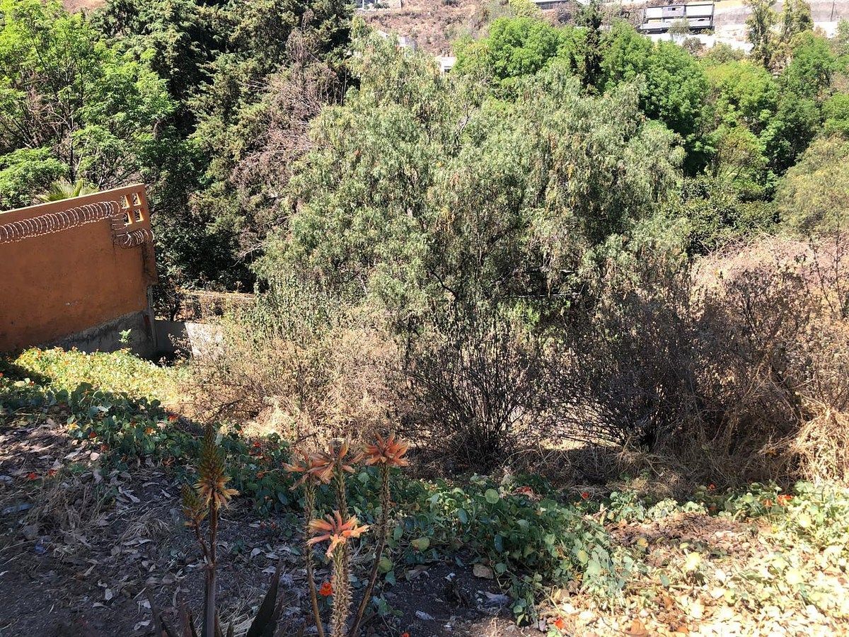 Terreno en Lomas de Bellavista, Atizapán de Zaragoza, foto 6 de 10