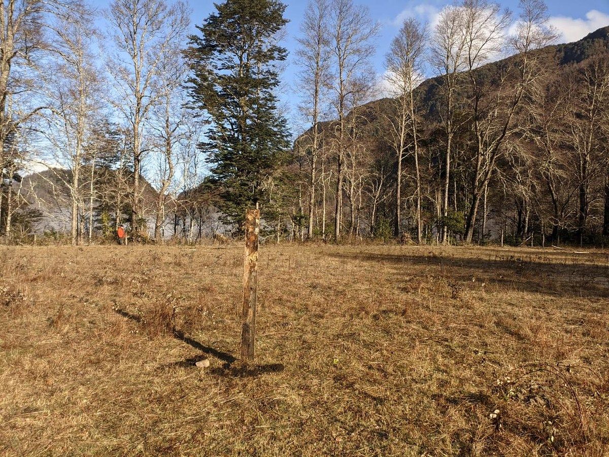 Terreno en Curarrehue, foto 5 de 11