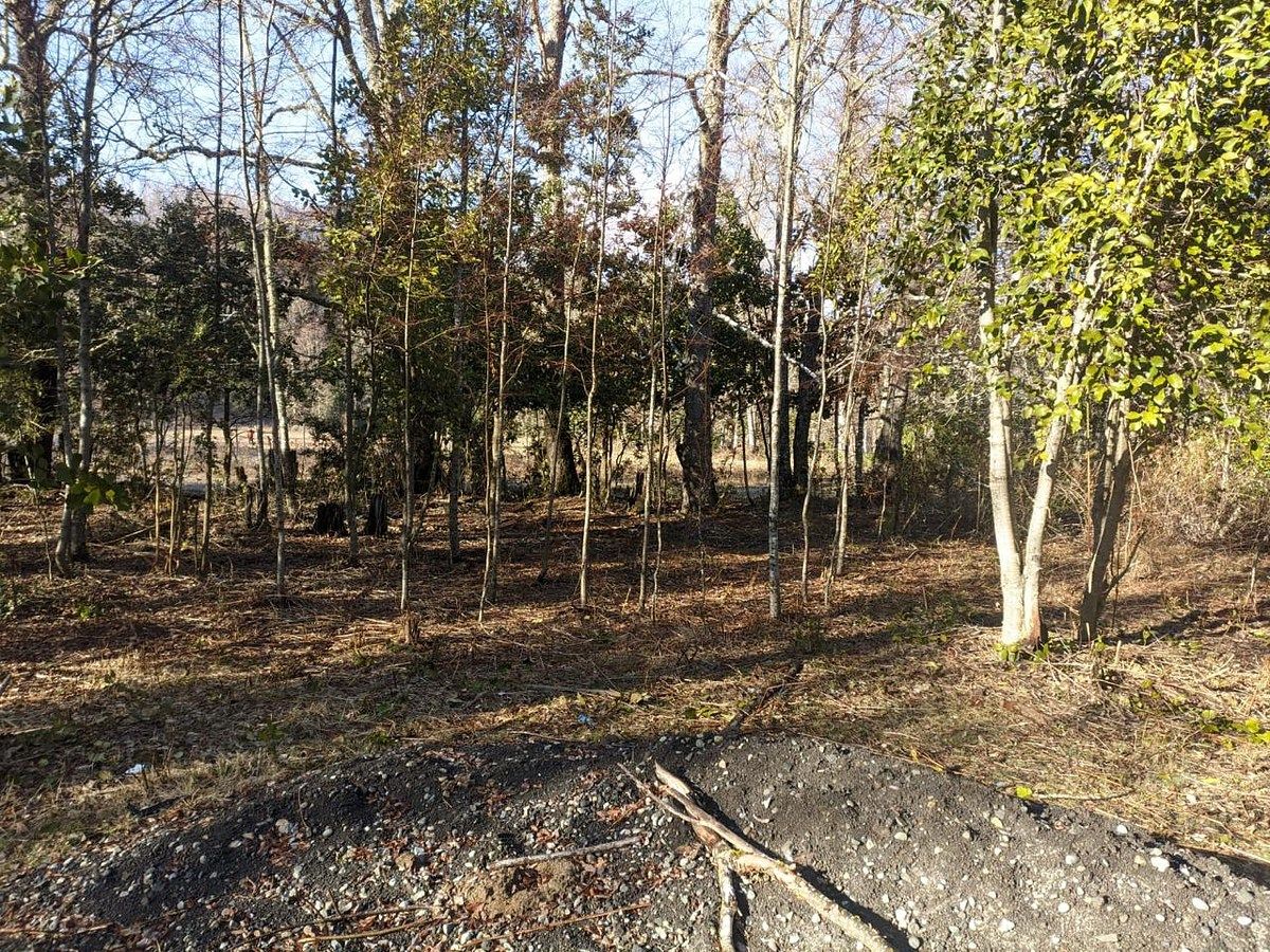 Terreno en Curarrehue, foto 8 de 11