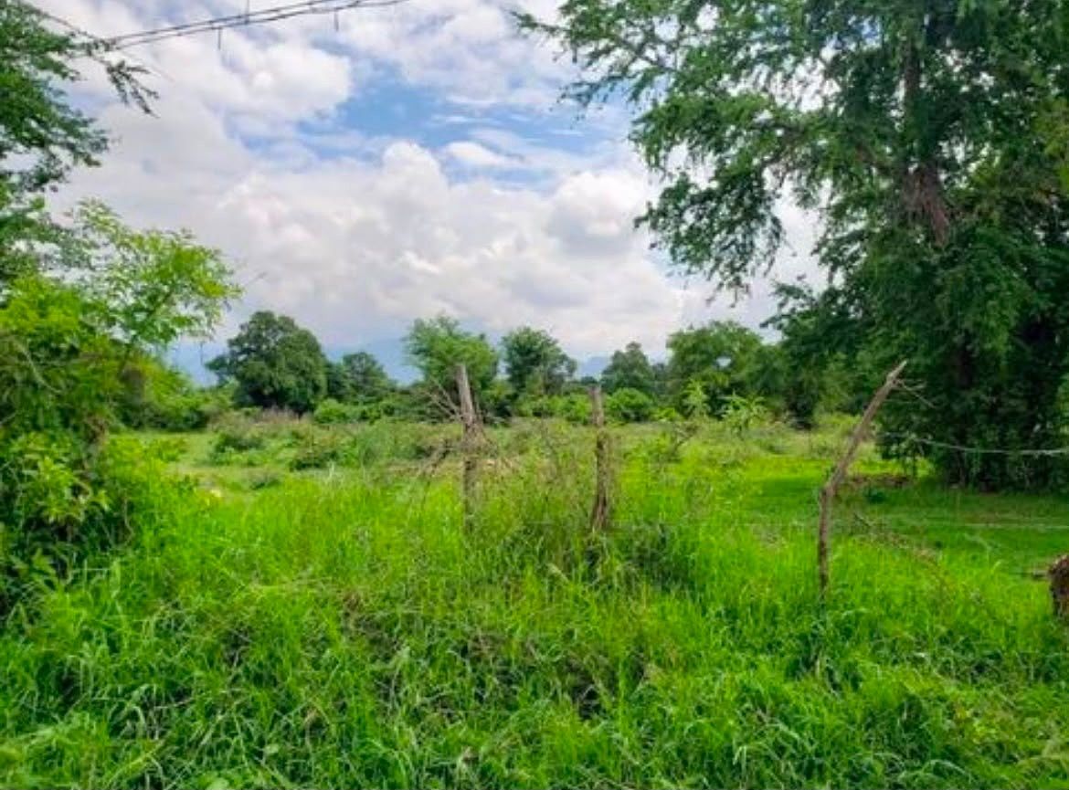 Terreno en Santiago, Yautepec, foto 5 de 8