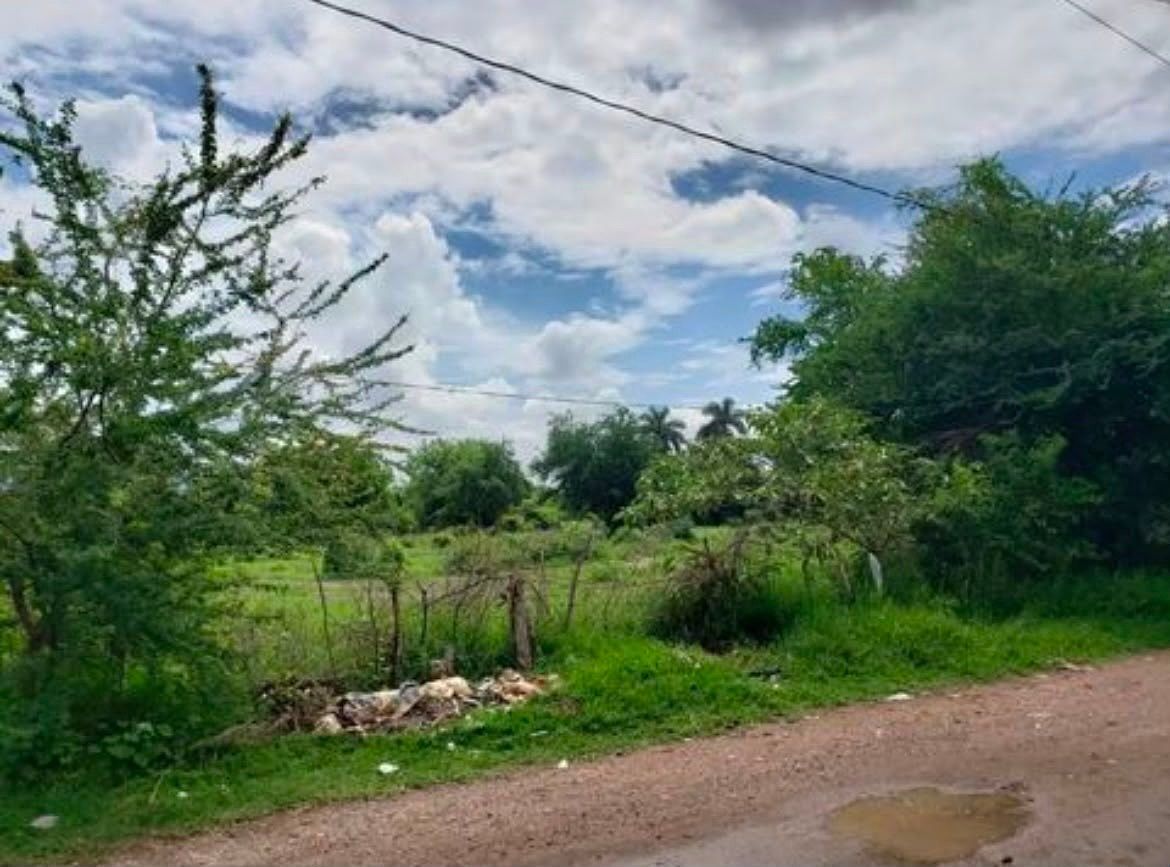 Terreno en Santiago, Yautepec, foto 6 de 8