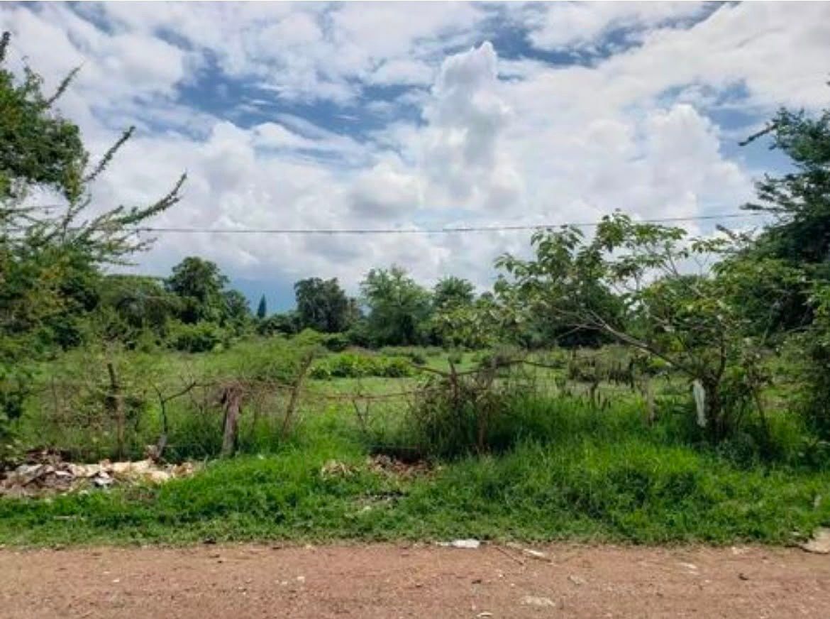Terreno en Santiago, Yautepec, foto 8 de 8