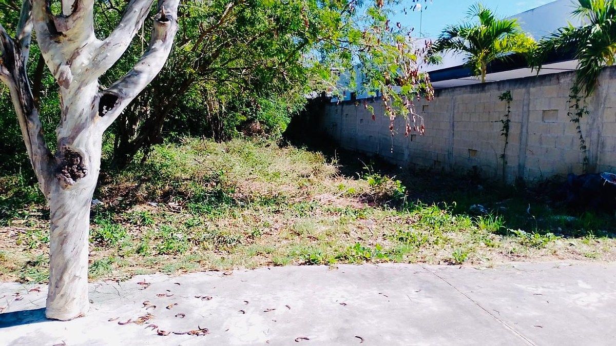 Lot in Chablekal, Mérida, photo 4 of 6
