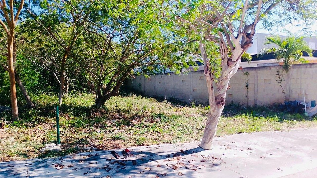 Lot in Chablekal, Mérida, photo 5 of 6
