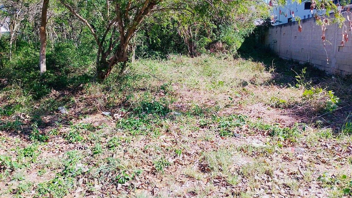 Lot in Chablekal, Mérida, photo 6 of 6
