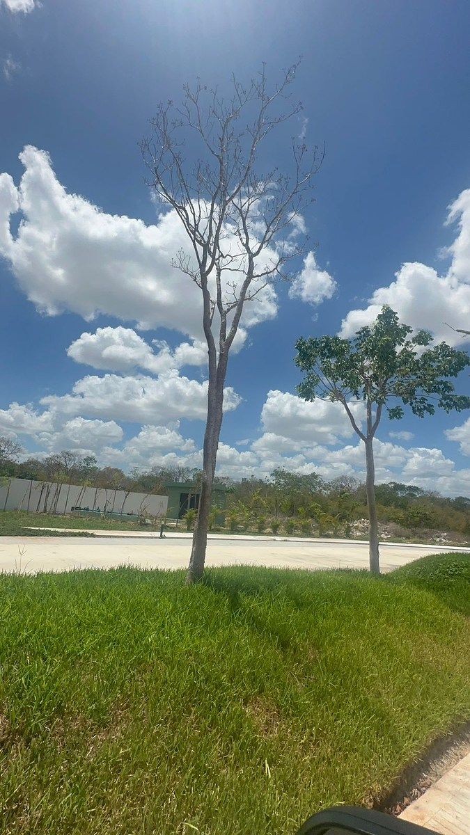 Apartment in Dzityá, Mérida, photo 22 of 23