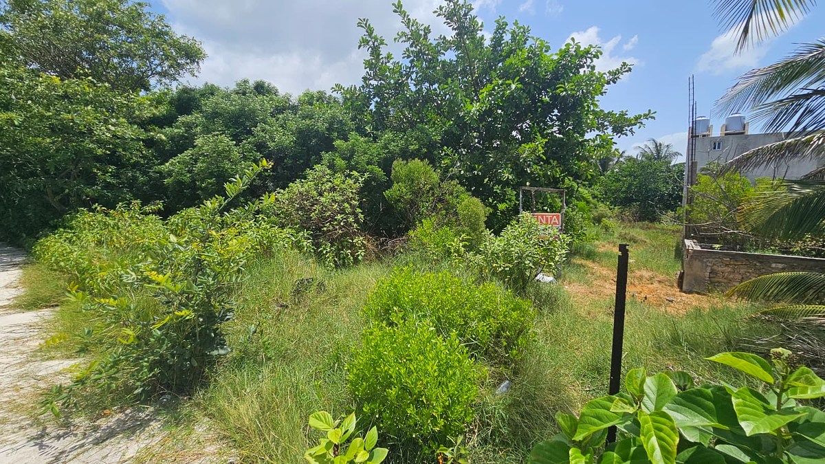 Lote em Chicxulub Puerto, Progreso, foto 3 de 16