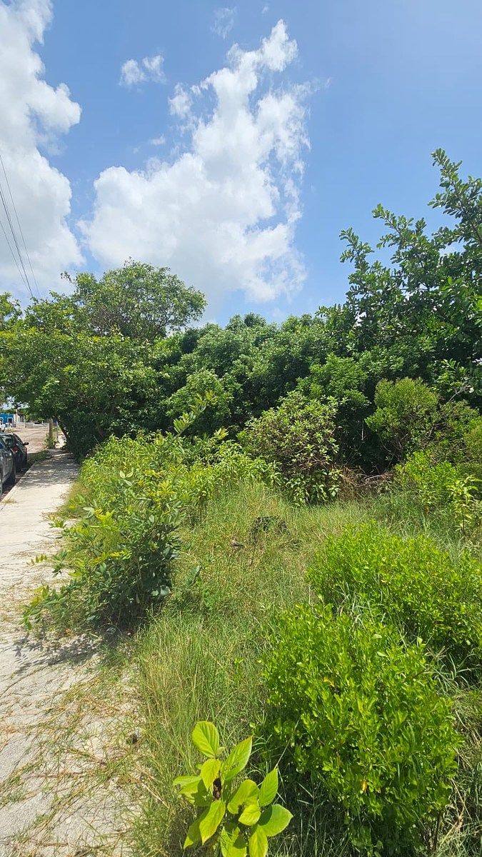 Lote em Chicxulub Puerto, Progreso, foto 4 de 16