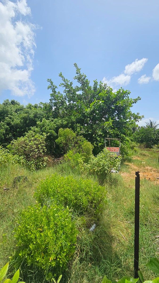 Lote em Chicxulub Puerto, Progreso, foto 5 de 16