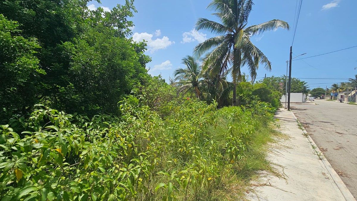 Lote em Chicxulub Puerto, Progreso, foto 6 de 16