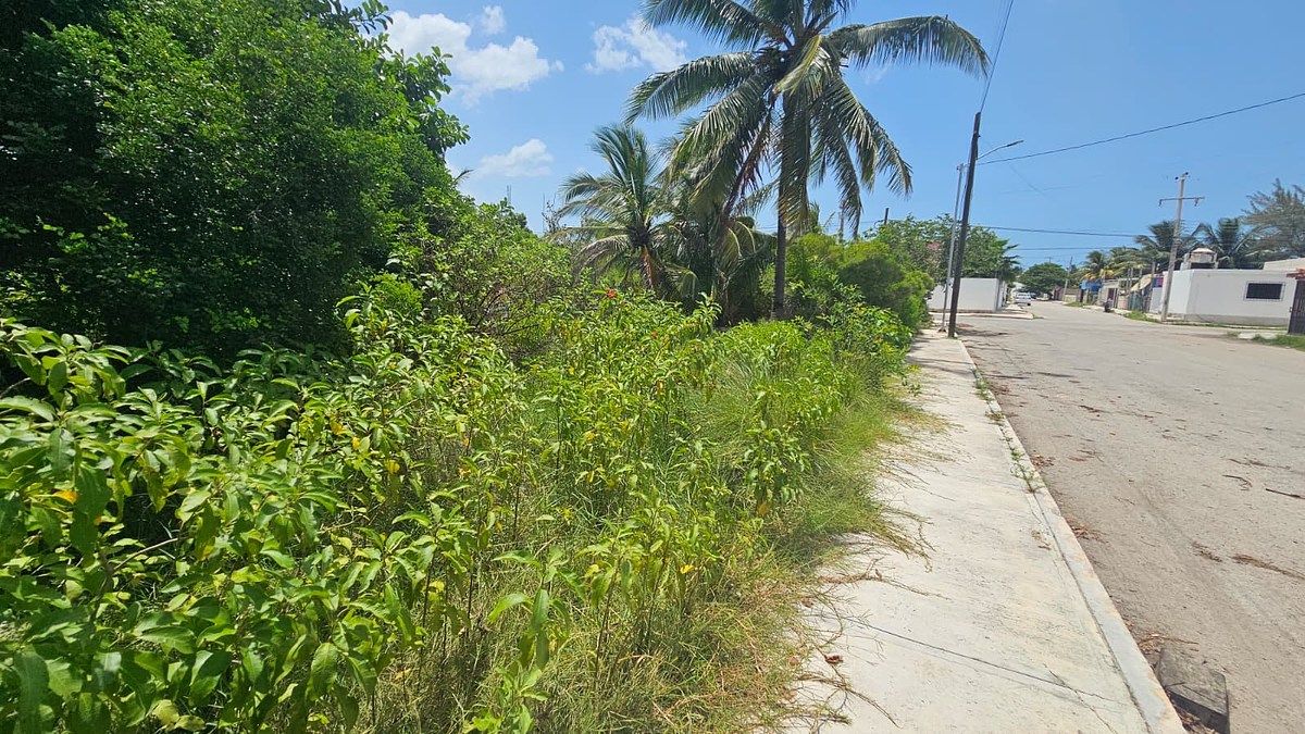 Lote em Chicxulub Puerto, Progreso, foto 12 de 16
