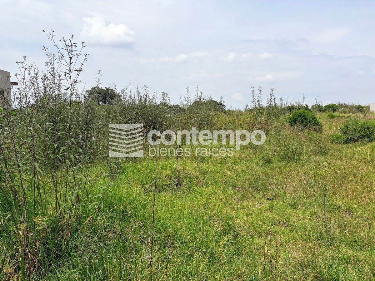 Terreno en Rancho San Juan, Atizapán de Zaragoza, foto 8 de 25