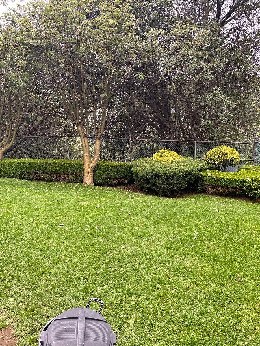 Departamento en Bosques de Tarango, Álvaro Obregón, foto 14 de 14