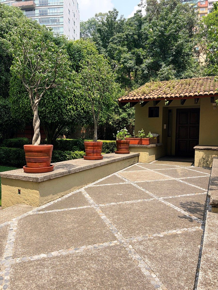 Apartment in Bosque de las Lomas, Miguel Hidalgo, photo 4 of 11
