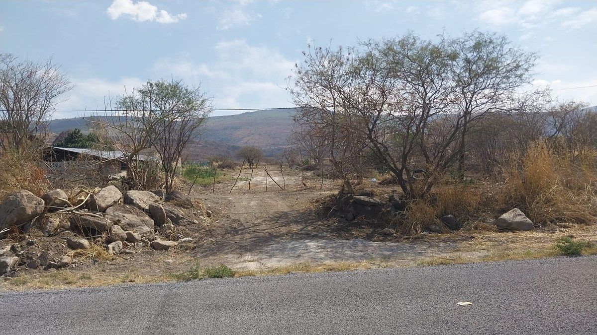 Terreno en San Juan Evangelista (San Juan), Tlajomulco de Zúñiga, foto 4 de 5