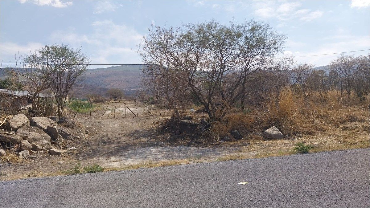 Terreno en San Juan Evangelista (San Juan), Tlajomulco de Zúñiga, foto 5 de 5