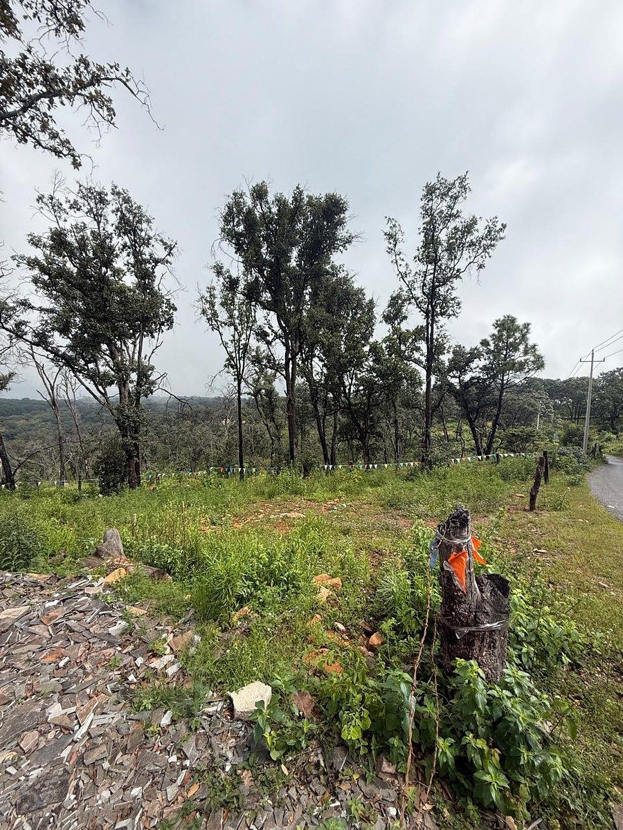1 Hectárea en Yolosta Atemajac de Brizuela - foto 2