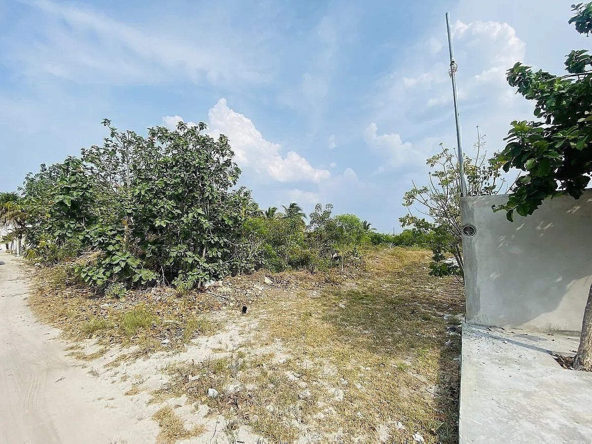 TERRENO EN LA PLAYA DE CHICXULUB PUERTO EN MERIDA YUCATAN - foto 5
