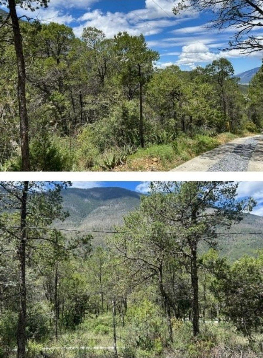 Lot in Los Lirios, Arteaga, photo 2 of 7