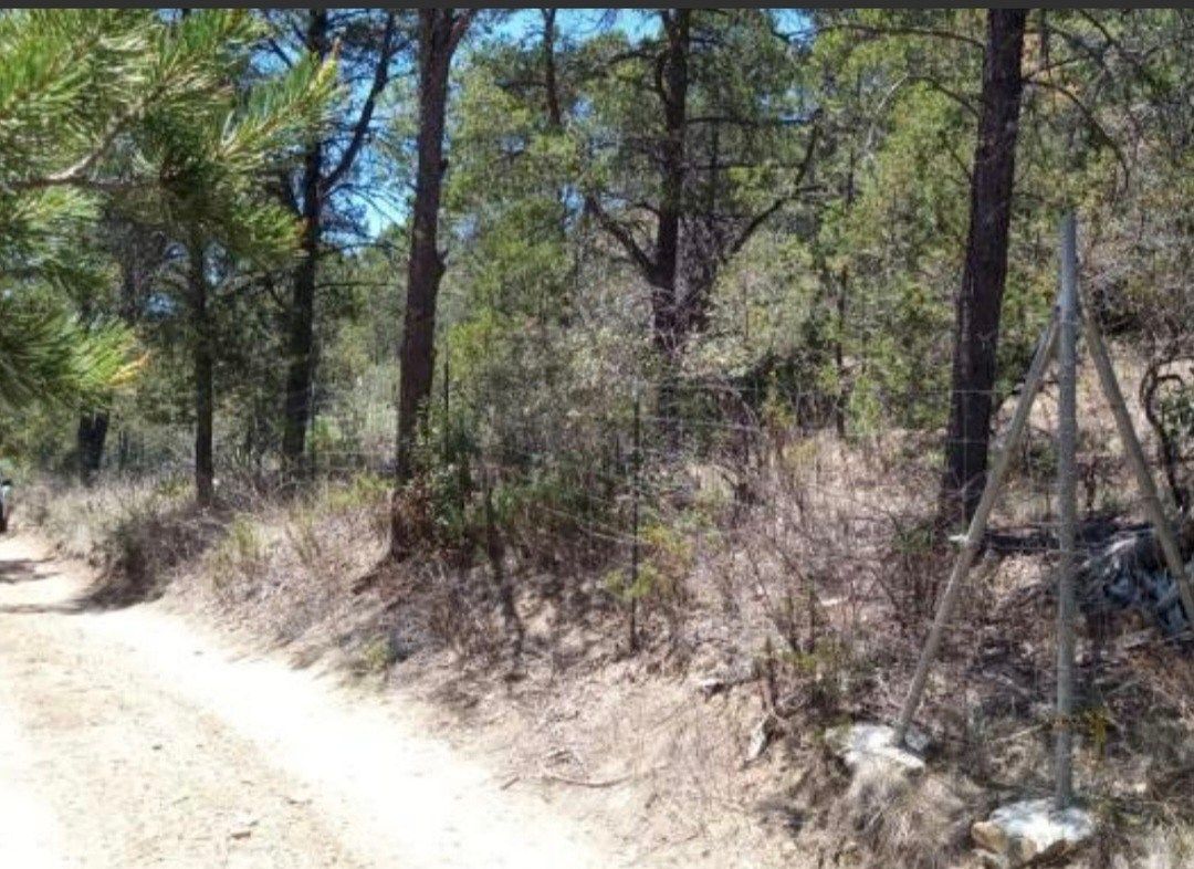 Lot in Los Lirios, Arteaga, photo 3 of 7