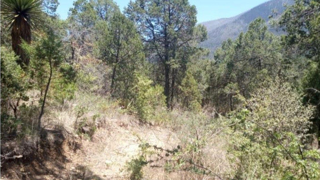 Lot in Los Lirios, Arteaga, photo 5 of 7