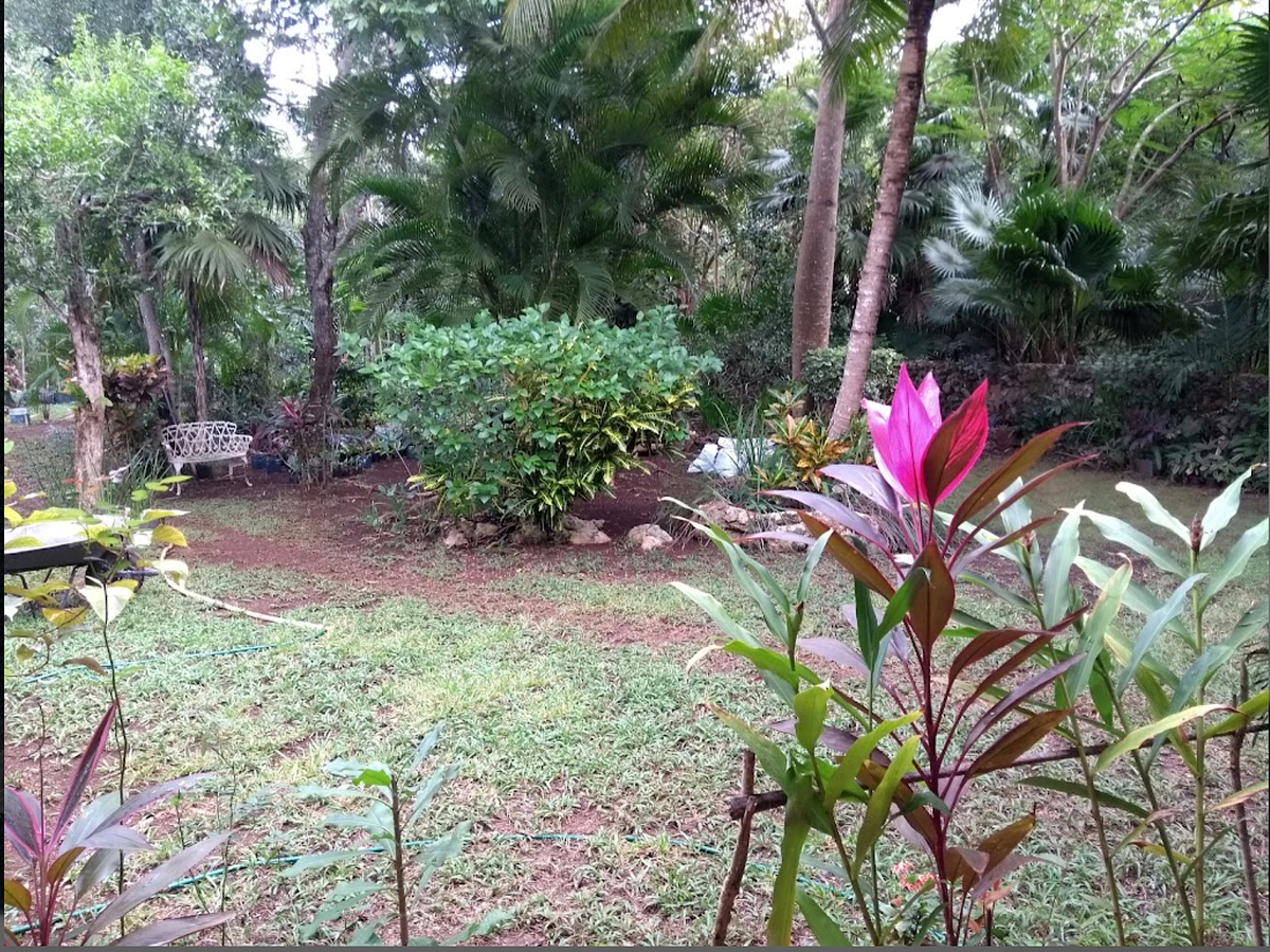 Terreno en Hacienda Real del Caribe, Benito Juárez, foto 11 de 11