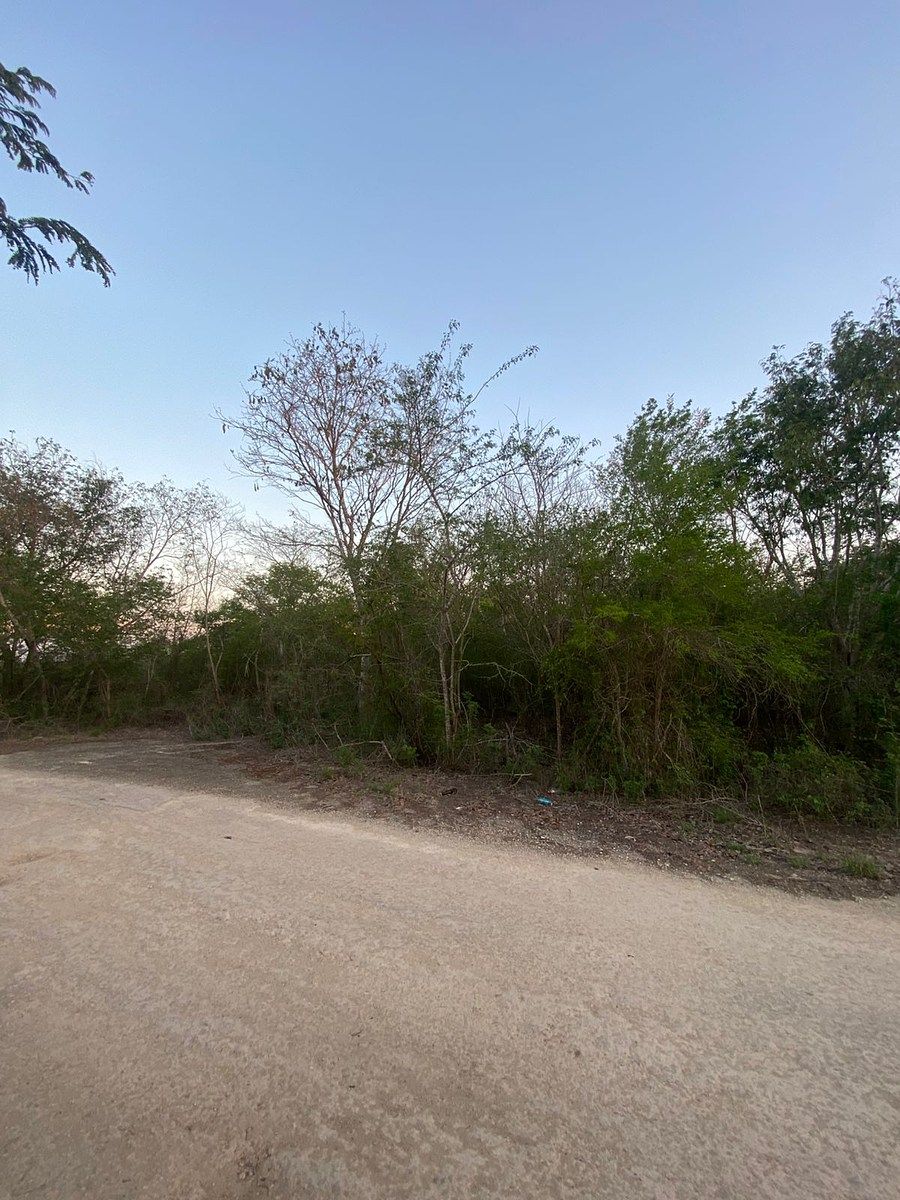 PRICE BELOW MARKET VALUE - Large Land for Sale - Conkal - foto 4