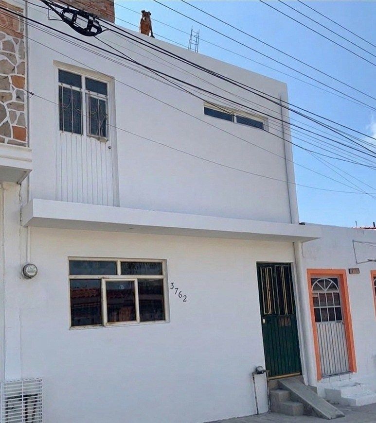 Apartment for sale on Aralia Street - foto 4