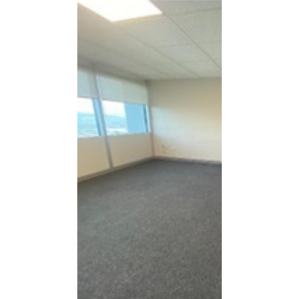 Office in Del Paseo Residencial, Monterrey, photo 7 of 8