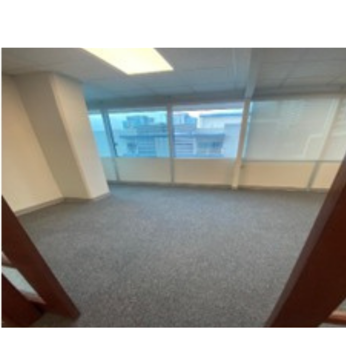 Office in Del Paseo Residencial, Monterrey, photo 5 of 8