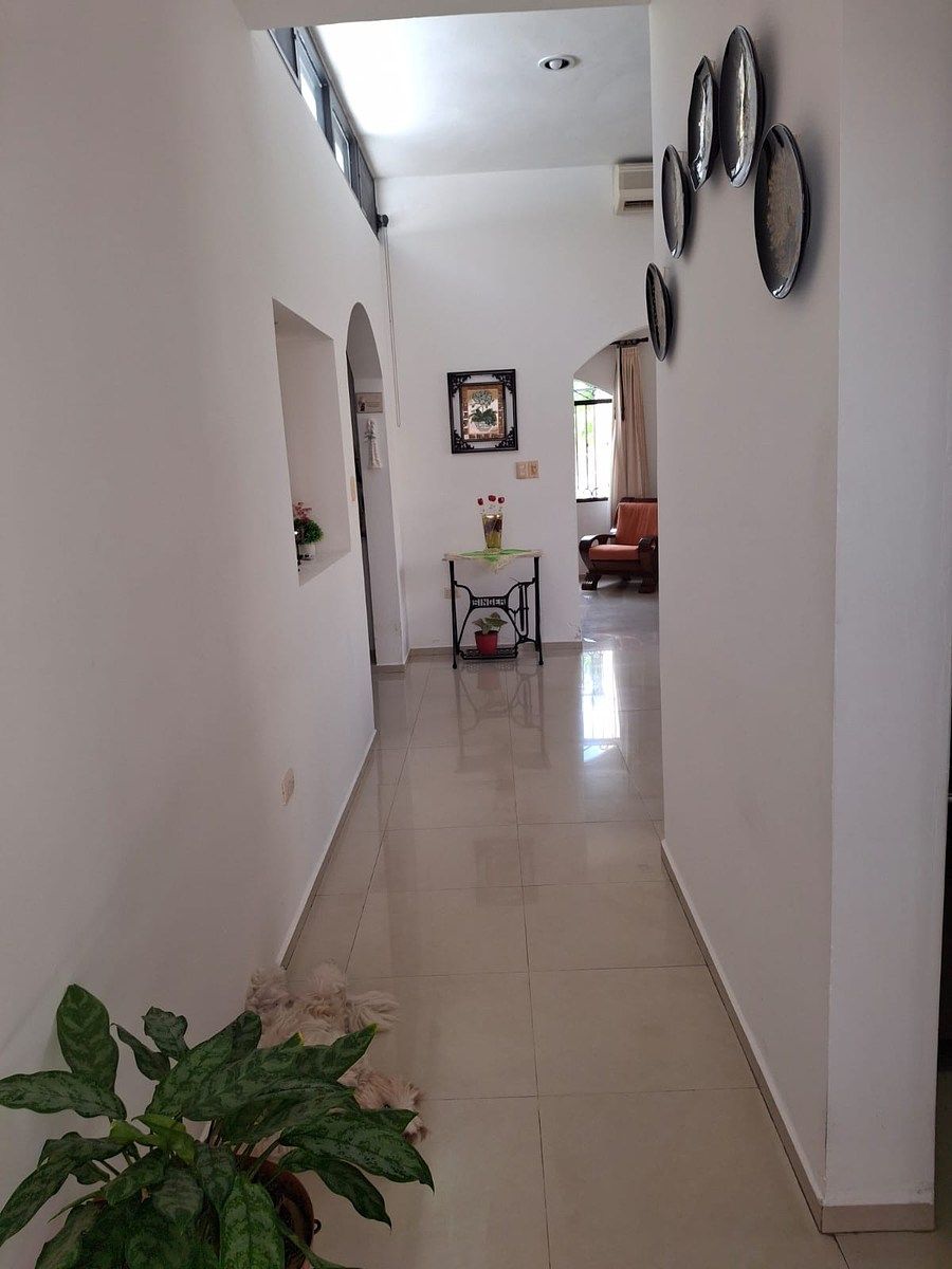 Casa em Terranova, Mérida, foto 31 de 31