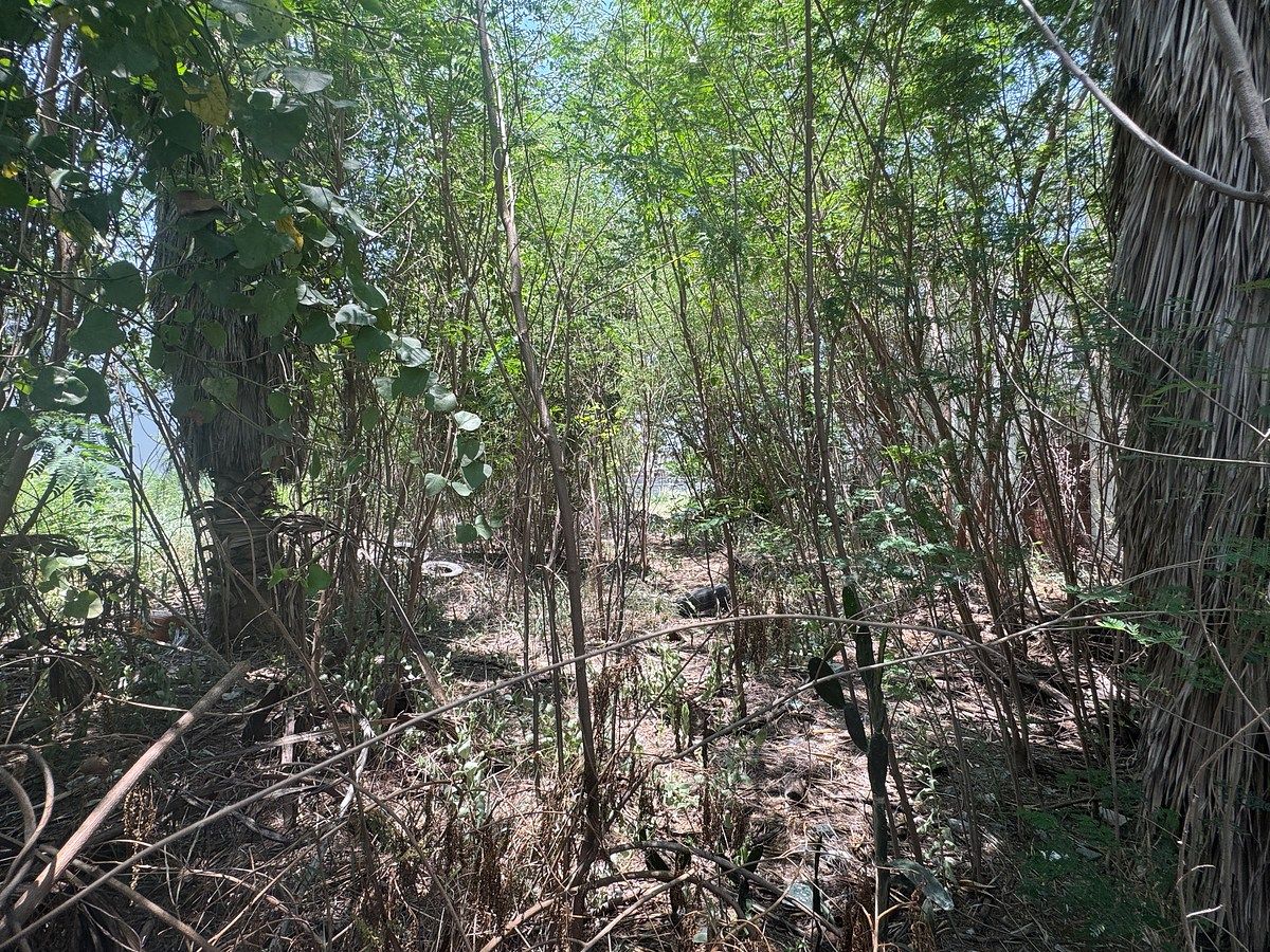 Terreno en Residencial La Florida, Monterrey, foto 9 de 15