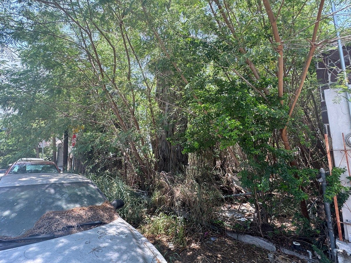 Terreno en Residencial La Florida, Monterrey, foto 10 de 15