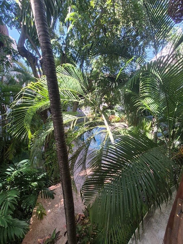 Apartamento em Playa Car Fase II, Playa del Carmen, foto 25 de 28