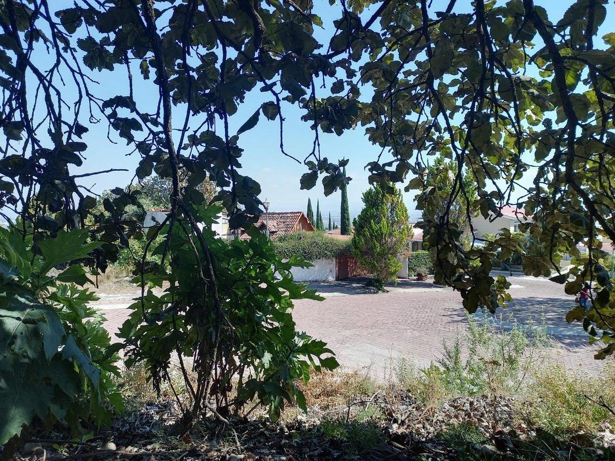 LAND FOR SALE in El Palomar - foto 2