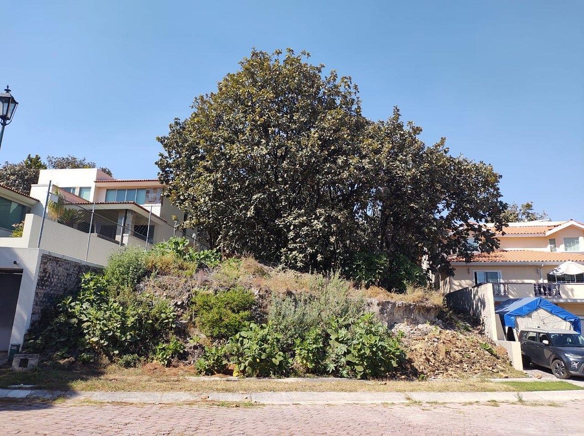 LAND FOR SALE in El Palomar - foto 3
