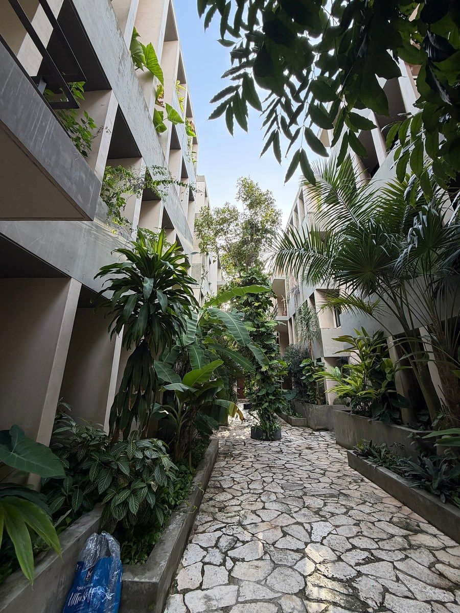 Departamento en Santa Gertrudis Copo, Mérida, foto 3 de 13