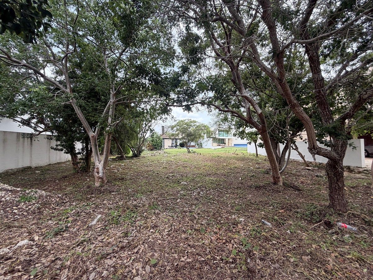Terreno en Temozón Norte, Mérida, foto 2 de 8
