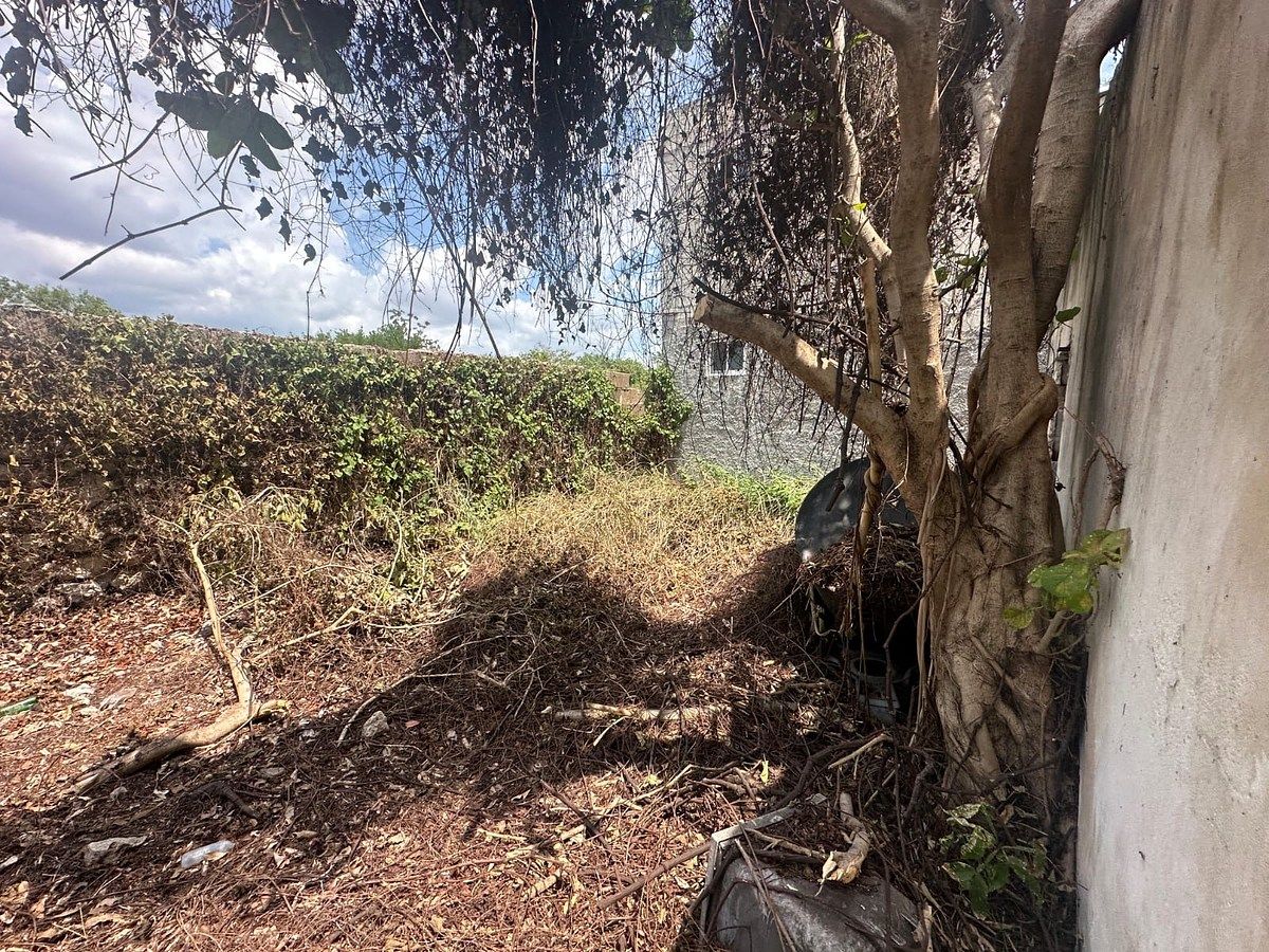 Lote em Mérida Centro, Mérida, foto 4 de 11