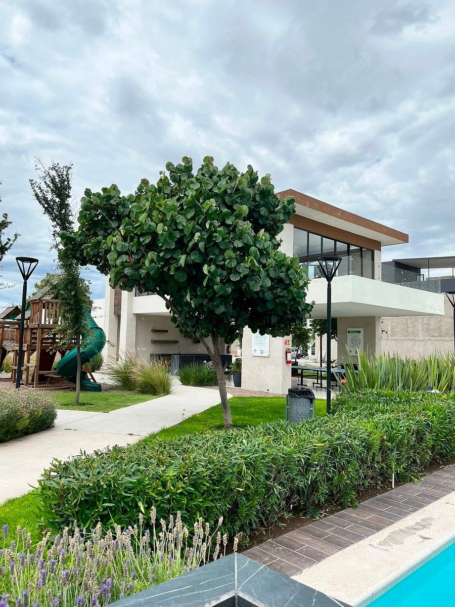 Lote em Rancho Santa Mónica, Aguascalientes, foto 7 de 12