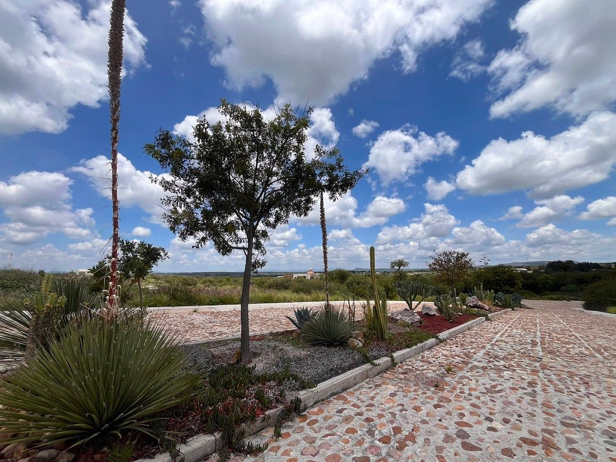 Terreno en San Francisco, San Miguel de Allende, foto 4 de 18