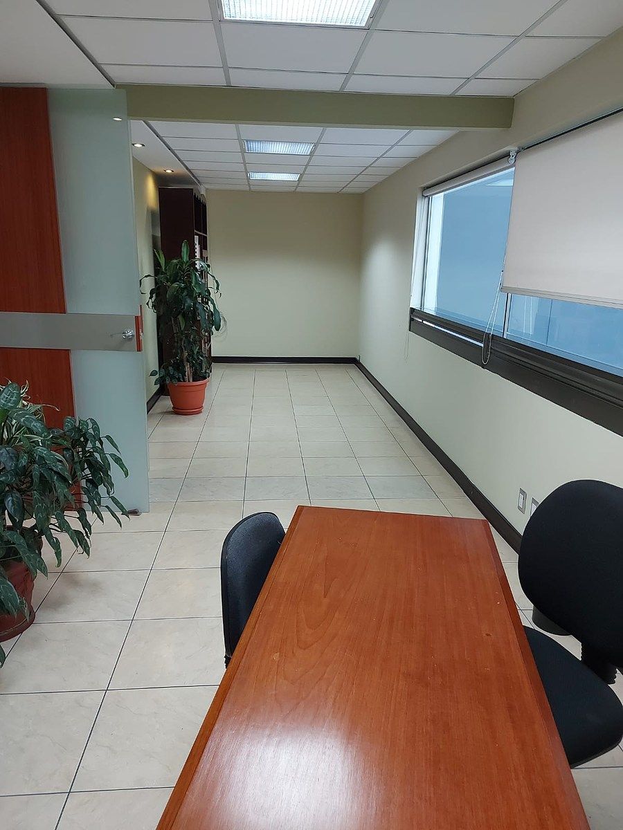 Oficina en Zona 10, Guatemala, foto 6 de 11