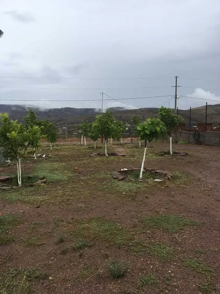 Otro en Lago de Jacales, Santa Isabel, foto 11 de 15