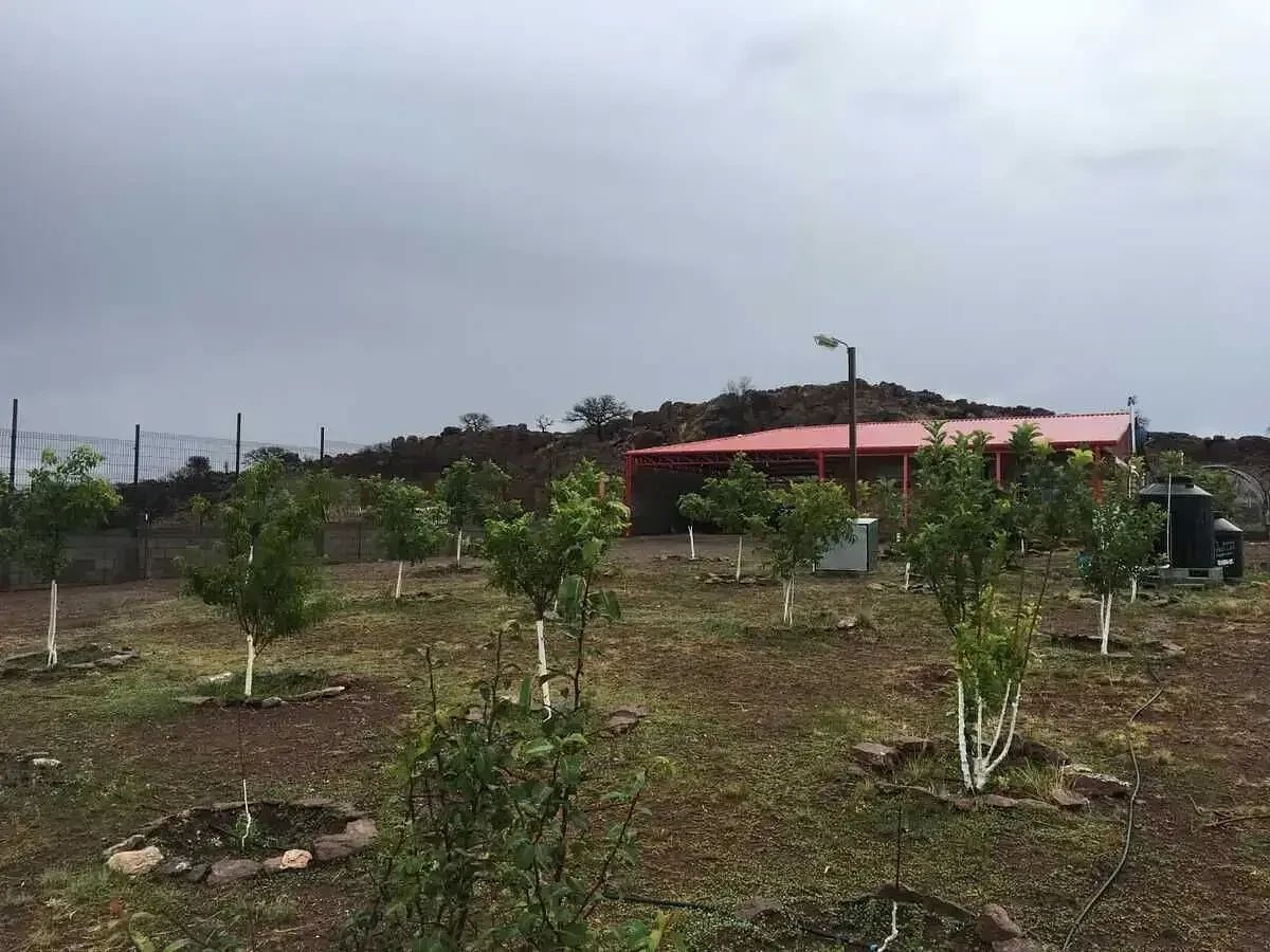Otro en Lago de Jacales, Santa Isabel, foto 12 de 15