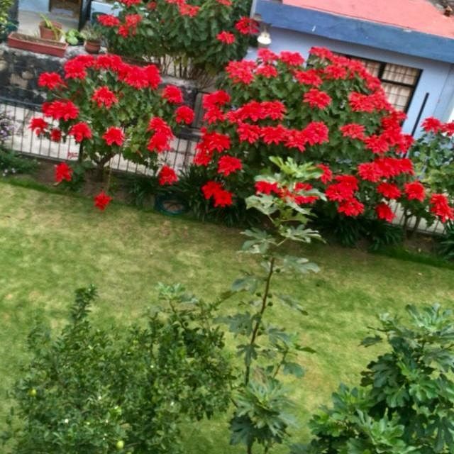 Casa em condomínio fechado em Tlalpan Centro, Tlalpan, foto 19 de 22