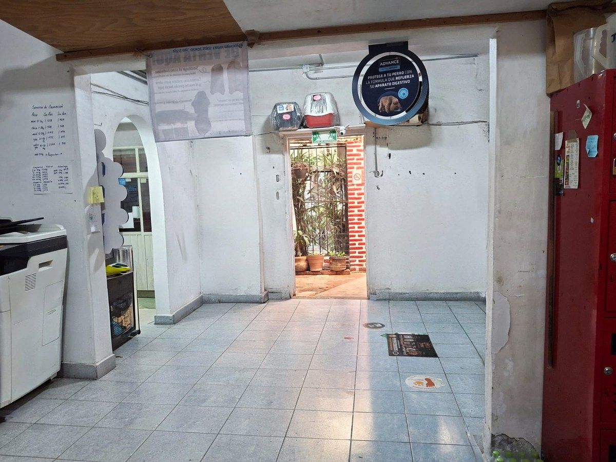 Casa en Narvarte Poniente, Benito Juárez, foto 3 de 14