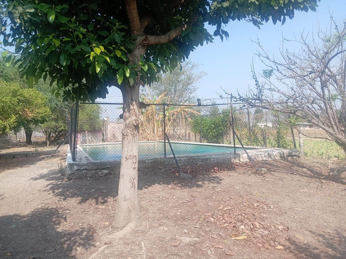 Chácara em Buenavista, Ixtlahuacán de los Membrillos, foto 10 de 12