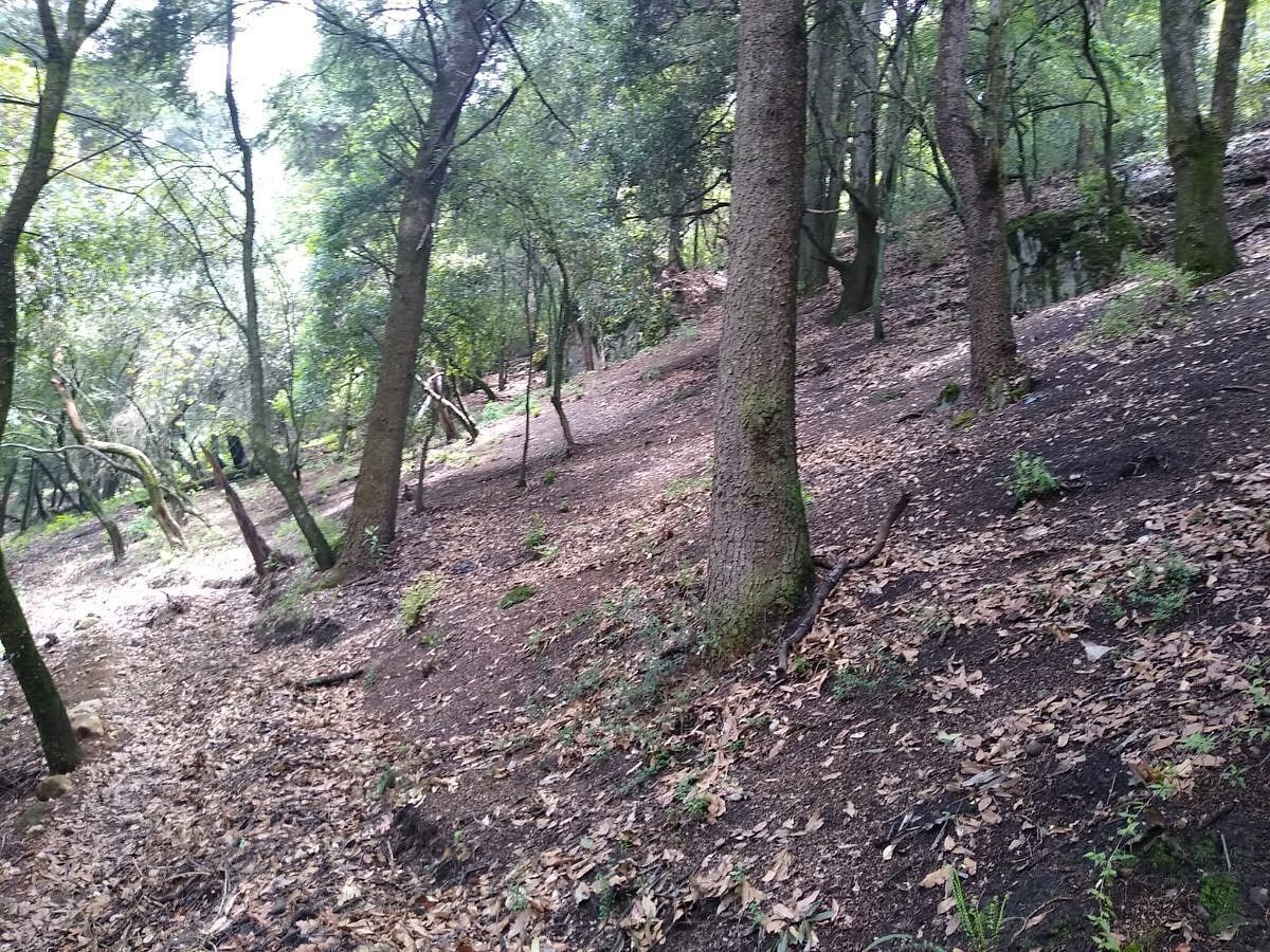 Terreno en Santa Rosa Xochiac, Álvaro Obregón, foto 3 de 7