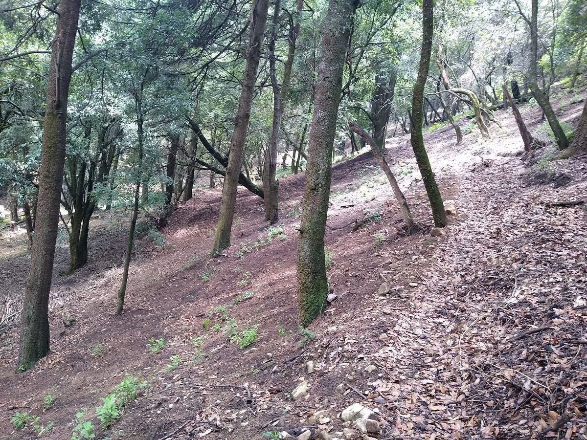 Terreno en Venta a menos de 1km del Parque Nacional Desierto de los Leones, foto 1 de 7